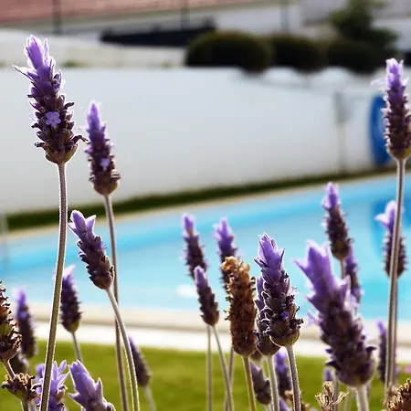 Holiday home Paradise Areia Branca Lourinha (Lisbon)